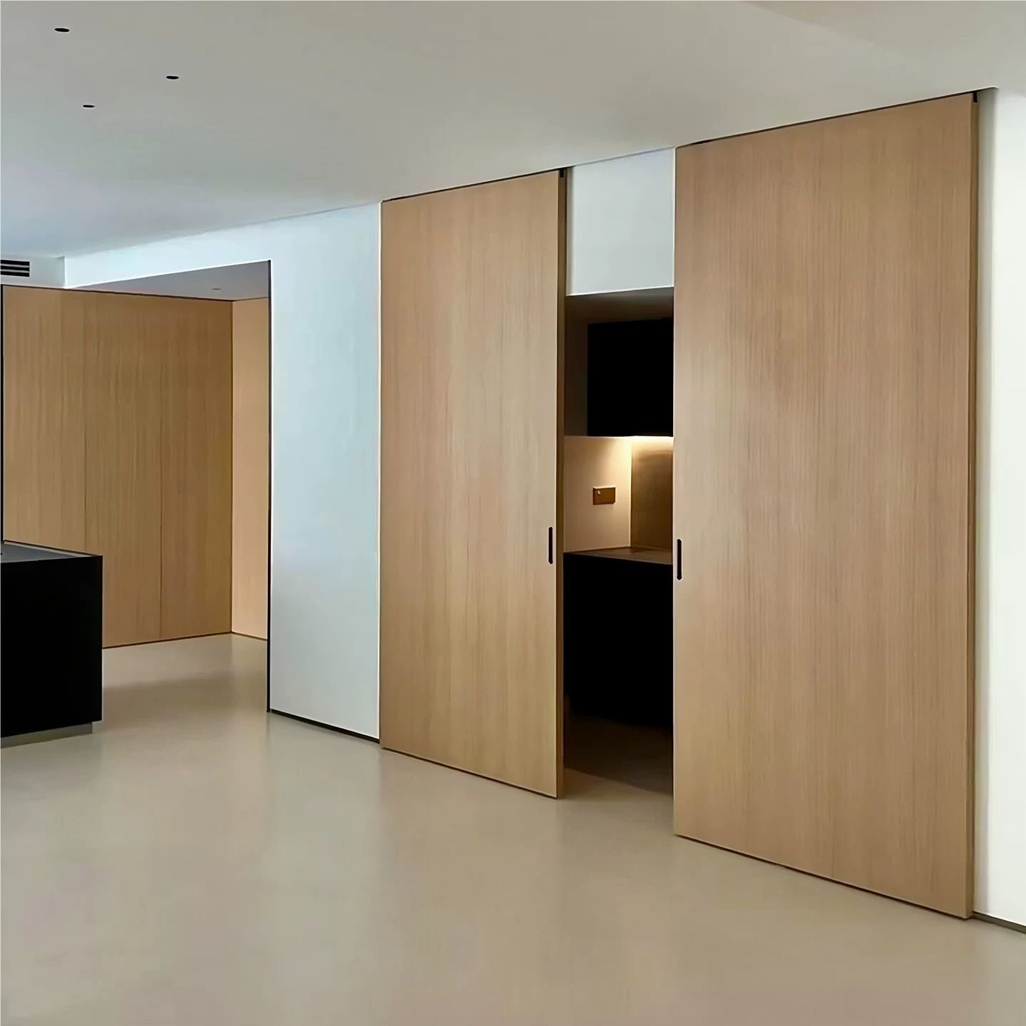 Invisible track door (door panel to the ceiling) Maximum load: 80 KG - Image 5